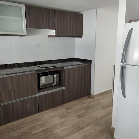 356 Apartments - Mendoza Zewnętrze zdjęcie