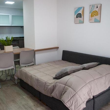 356 Apartments - Mendoza Zewnętrze zdjęcie