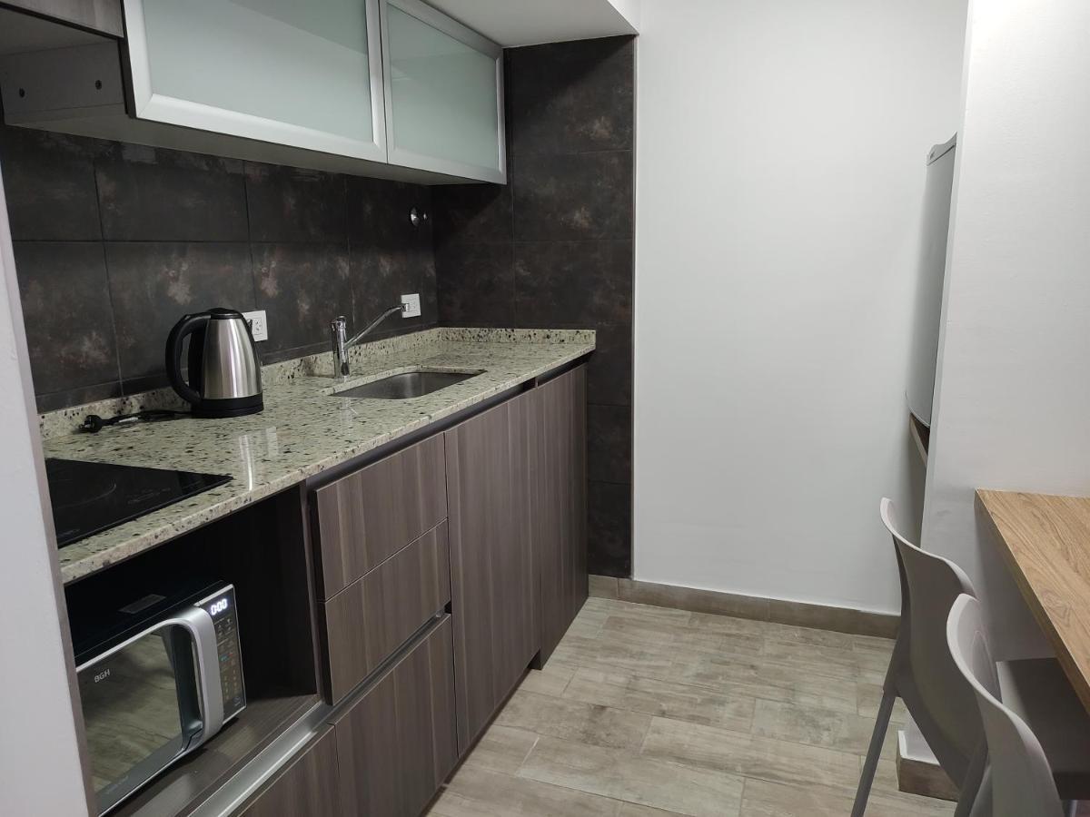 356 Apartments - Mendoza Zewnętrze zdjęcie