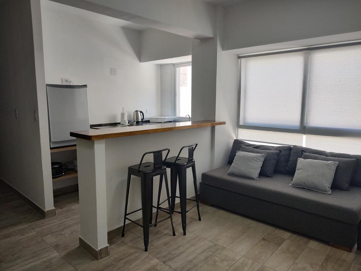 356 Apartments - Mendoza Zewnętrze zdjęcie
