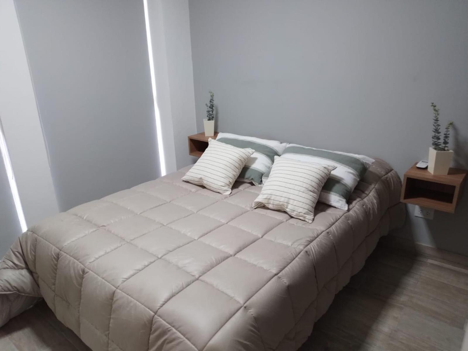 356 Apartments - Mendoza Zewnętrze zdjęcie
