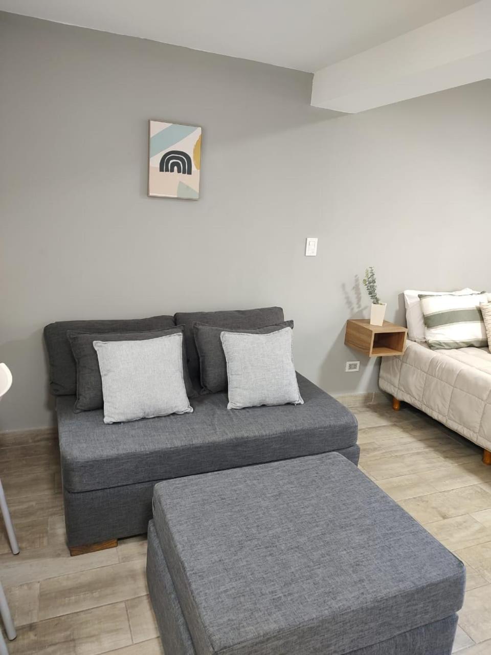 356 Apartments - Mendoza Zewnętrze zdjęcie