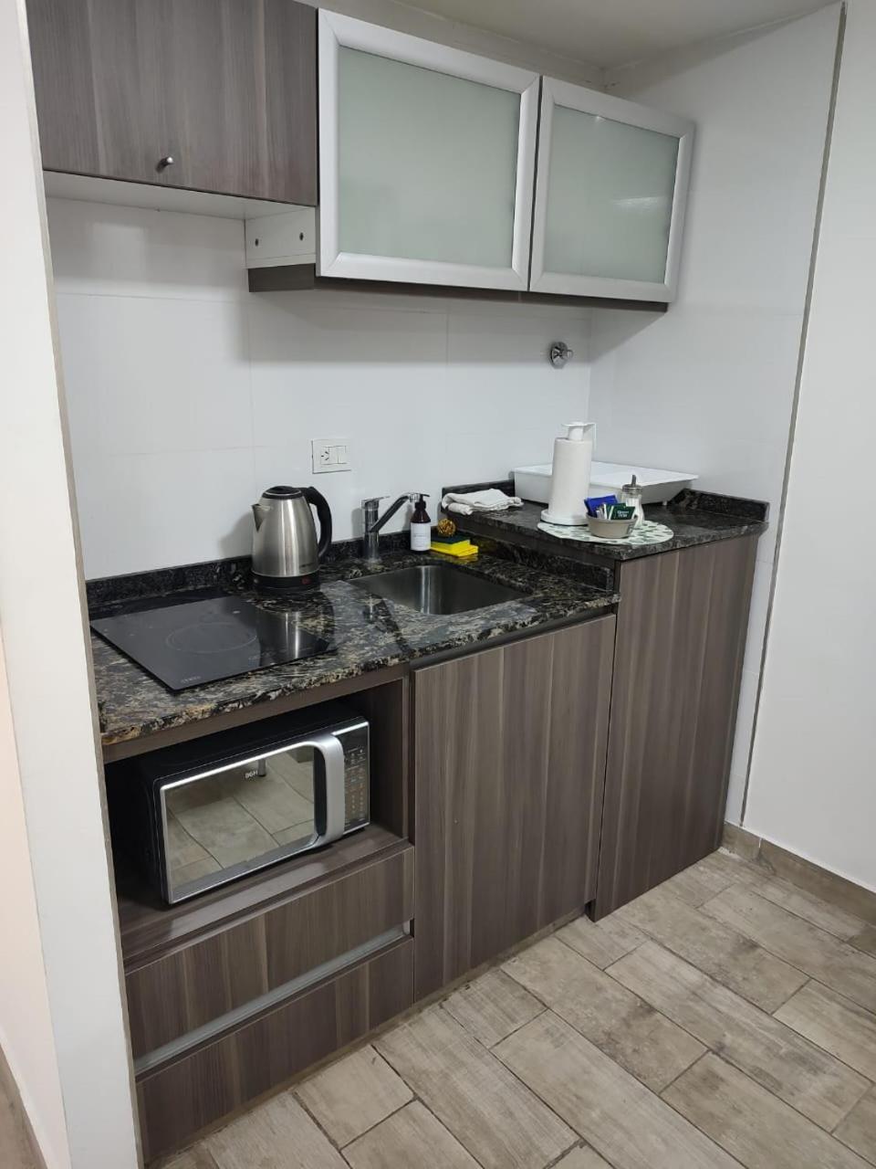 356 Apartments - Mendoza Zewnętrze zdjęcie