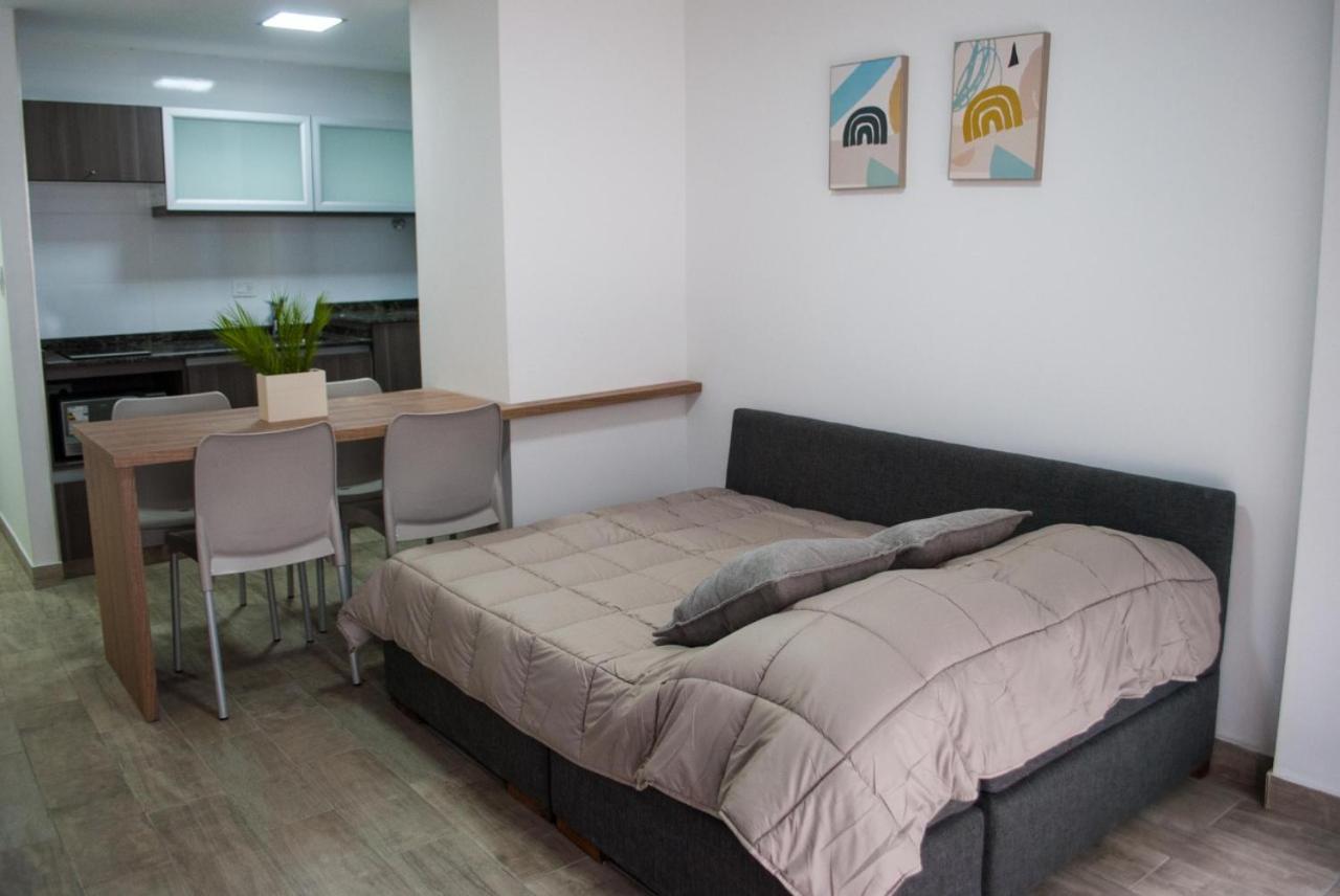 356 Apartments - Mendoza Zewnętrze zdjęcie
